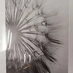 Apartman Dandelion *
