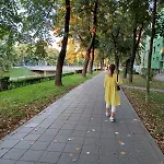 Dandelion Apartman Sarajevo
