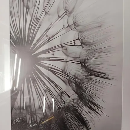 Lägenhet Dandelion *