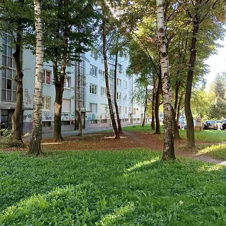 Apartment Dandelion