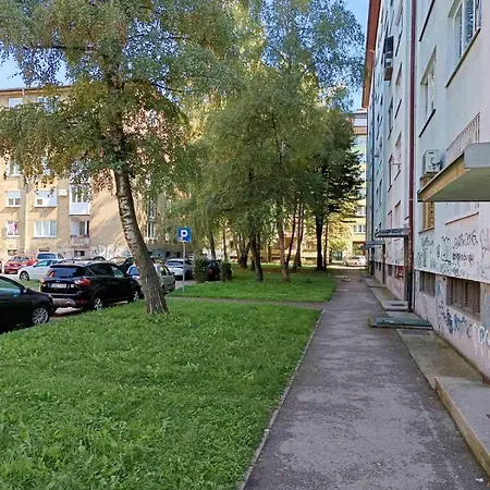 Dandelion * Sarajevo