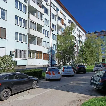 Dandelion Apartament