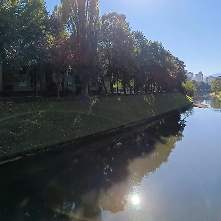 Dandelion Διαμέρισμα