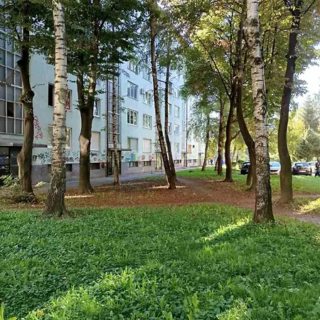 Apartment Dandelion *