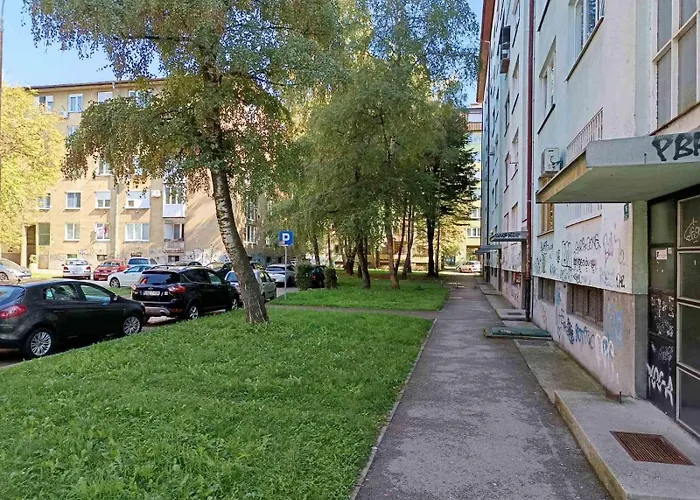 Dandelion * Sarajevo