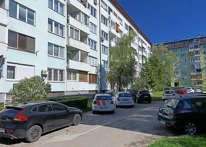 Dandelion Apartament