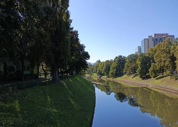 Dandelion Apartament