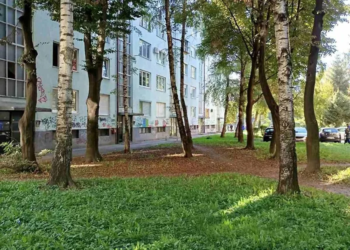 Apartament Dandelion *